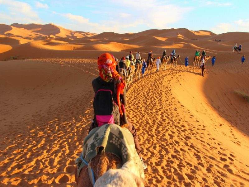 Đừng quên trải nghiệm cưỡi lạc đà trên sa mạc biển Mesaieed nhé